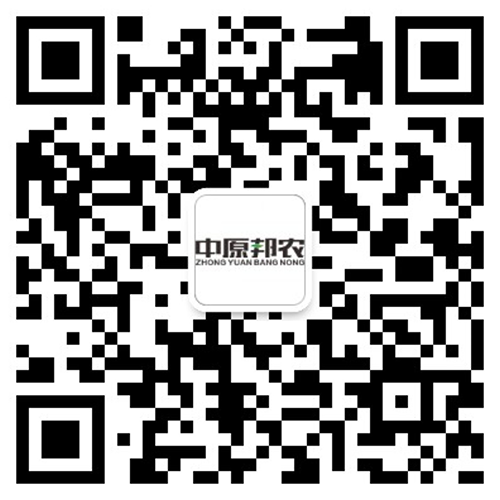 bob综合体育官网网址